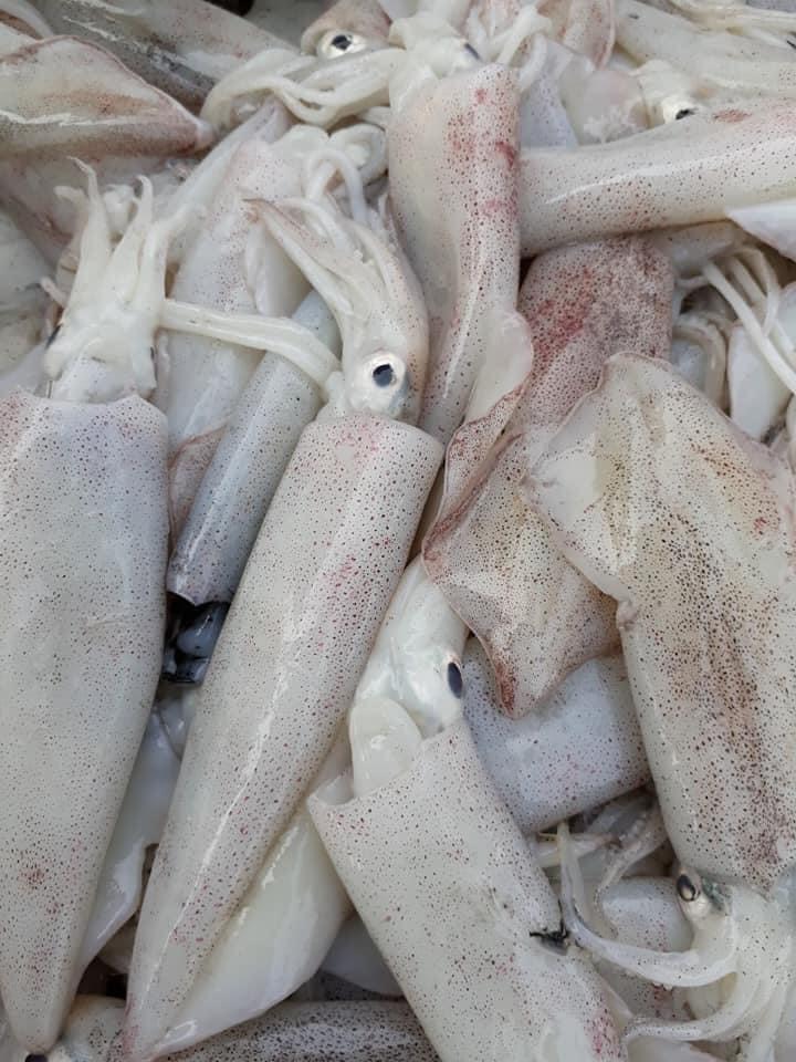 Mực