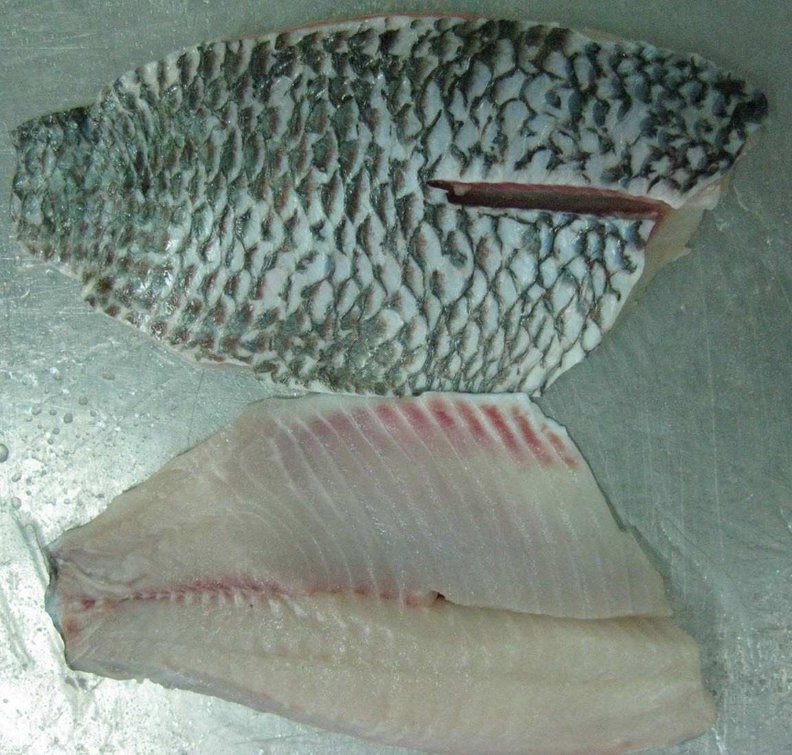 Cá rô phi